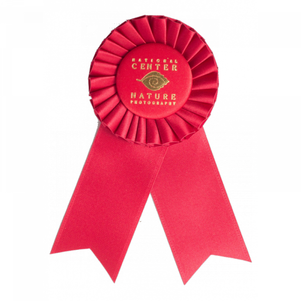 102 Custom Award Rosetterosettesrs