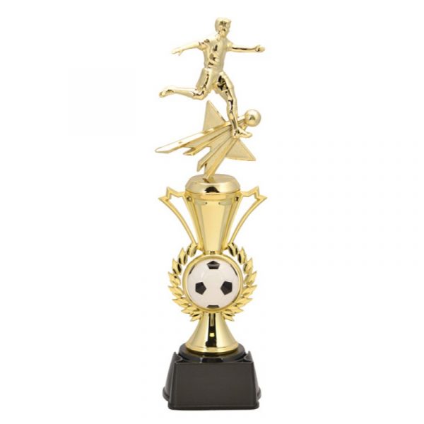 Male Soccer Radiance Trophy