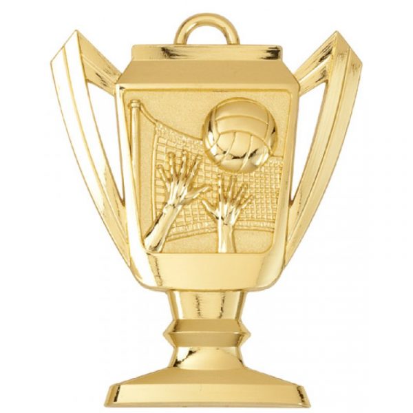 Volleyball Trophy