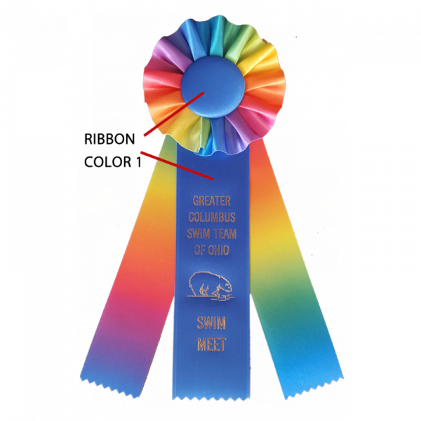 R200 Custom Rainbow Award Rosetterosettesrs