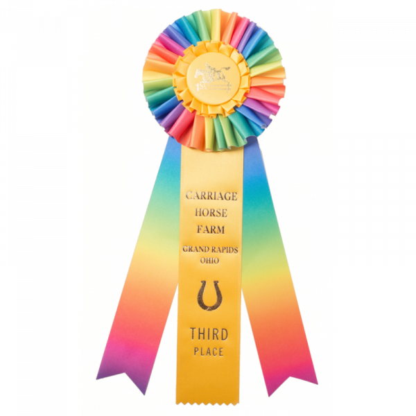R301 Custom Rainbow Award Rosetterosettesrs