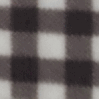 Gingham Black