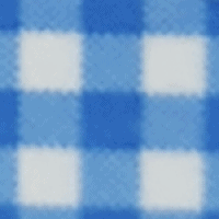 Gingham Blue