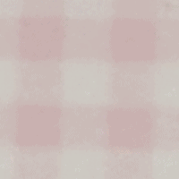 Gingham Pink