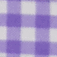 Gingham Purple