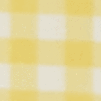 Gingham Yellow