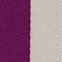 Purple White